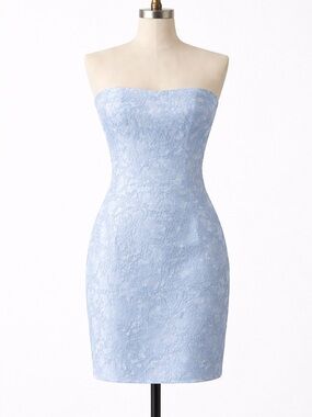 Strapless Lace Sheath Dress in Powder Blue